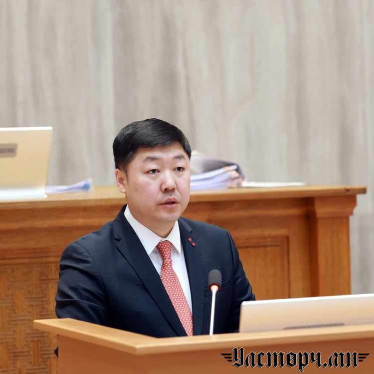 НИТХ-ын шинэ даргад төлөөлөгч Д.ИХБАЯРЫН нэрийг дэвшүүллээ